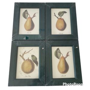 NEW Sealed Fruit Pear Framed Wall Decor Set of 4